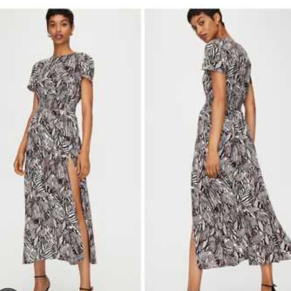 Wilfred Dresses & Skirts - Aritzia Safari Print Dress XS